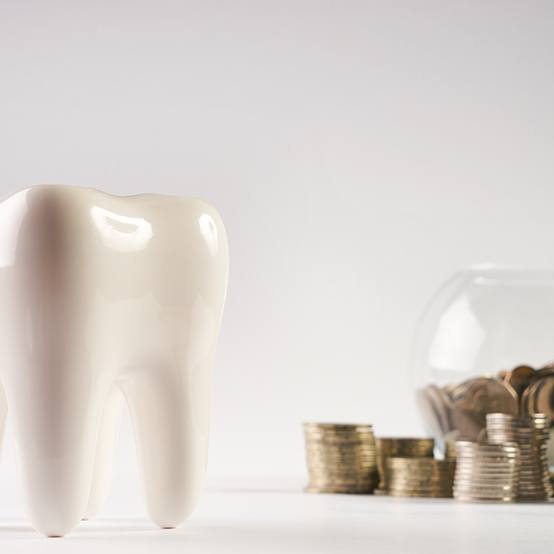 Tooth model in front of stacks of coins